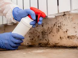 Why You Should Choose Our Mold Remediation Services in Hatch, NM